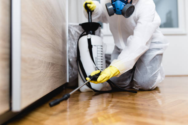 Best Pest Prevention Services  in Glide, OR