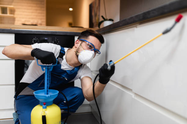 Best Pest Removal Services  in Glide, OR