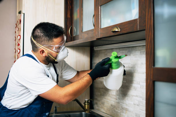  Glide, OR Pest Control Pros