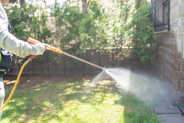 Bird Control in Glide, OR