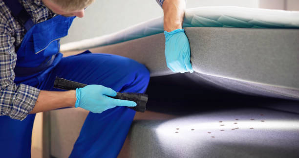 Best Cockroach Control Services  in Glide, OR