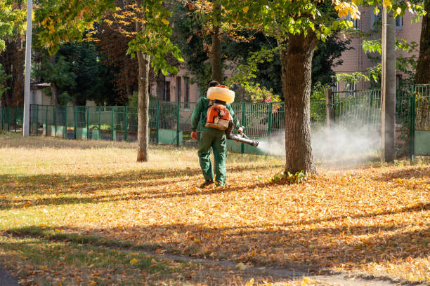 Trusted Glide, OR Pest Control Experts