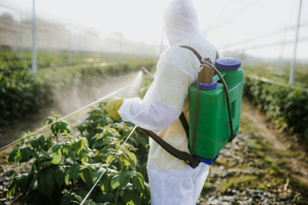Best Local Pest Control Services  in Glide, OR